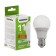 LED LED Generica A60, 11 W, pear, 6500 K, E27, 230 V, Promo, LL-A60-11-230-65-E27-G