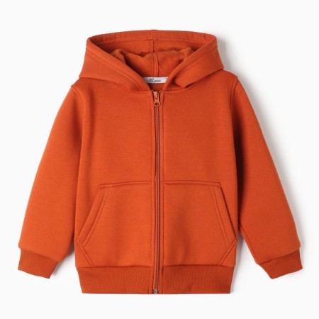 Baby sweatshirt, brown color, height 116 cm