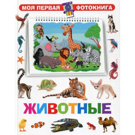 Animals