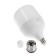 LED lamp In Home Led-Hp-Pro, 40 W, 230 V, E27, E40, 6500 K, 3800 lm, with an adapter