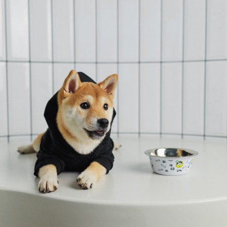 Off-DOG sweatshirt for dogs (foot with a hose), size L (DS 35, Osh 42-44, OG 54-58), black-7