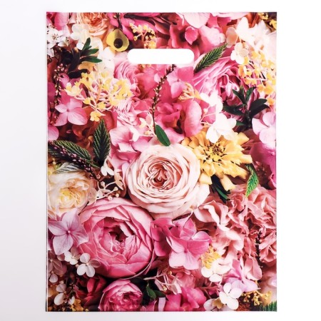 Elizabeth package, polyethylene with a cut -off pen 31x40 cm, 60 μm