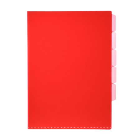 A4, 180 μm folder, calligrata, 5 departments, translucent, mix-3