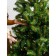 Christmas tree Green Trees "Southwest", 90 cm