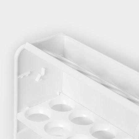 Egg container, 30 cells, 25 × 10 × 19.5 cm, white color-6