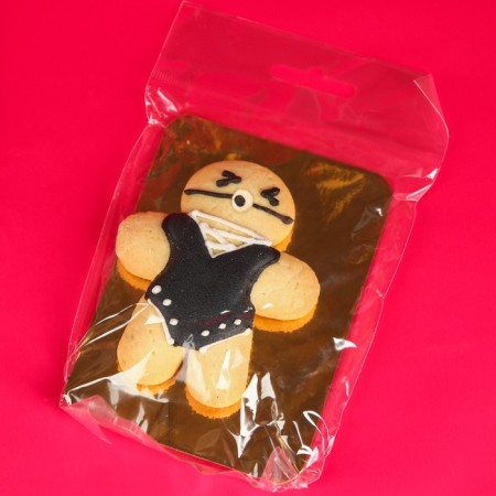 Set "Knut and Gingerbread": Book and cookies 25 g.-3