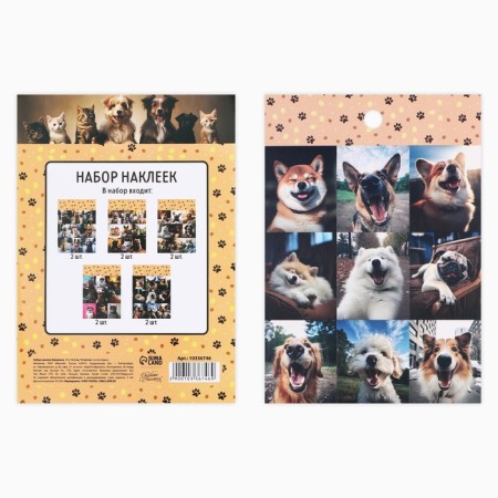 A set of paper stickers "Kotops", 10 pieces, 11 x 15.5 cm-1