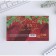 New Year. Block for recordings in the plastic case of “Miracles in the New Year!”, 100 sheets + 2 stickers