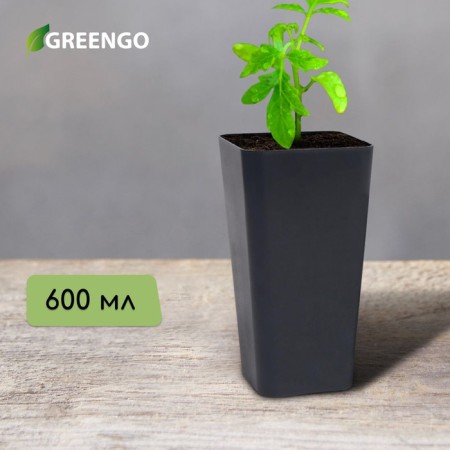 Pot for seedlings, 600 ml, D = 8.5 cm, h = 15 cm, mix, Greengo