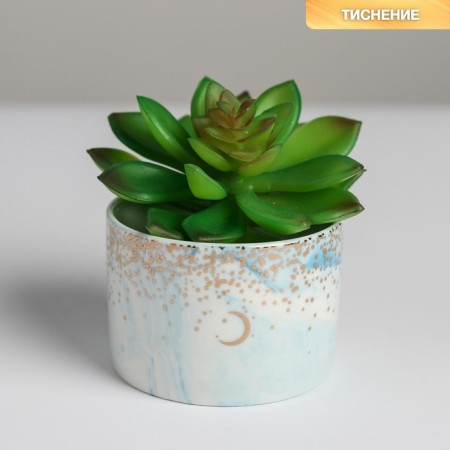Ceramic pot for flowers, Hello pots, 8 x 5.5 cm-1