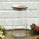 Bank for storage "Christmas Star", 700 ml