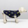 Dog jacket "Lightning", S (DS 20 cm, Osh 23 cm, OG 32 cm), dark blue