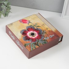 Photo album in 40 photos 13x18 cm 