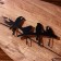 Hanger "birds" wood (4 hooks) 40 cm