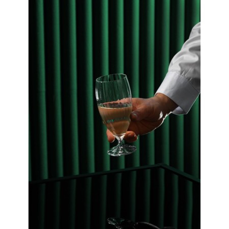 A set of glasses for cocktails "Magnolia", 380 ml, 6 pcs-7