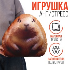 Antistress toy 