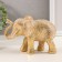 Souvenir Polystone "Elephant. Ethnic patterns" gold 17x5x11 cm