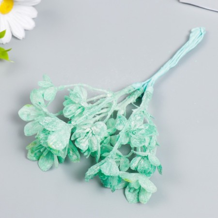 Decor for creativity "Kalanchoe azure" 16.5 cm-1