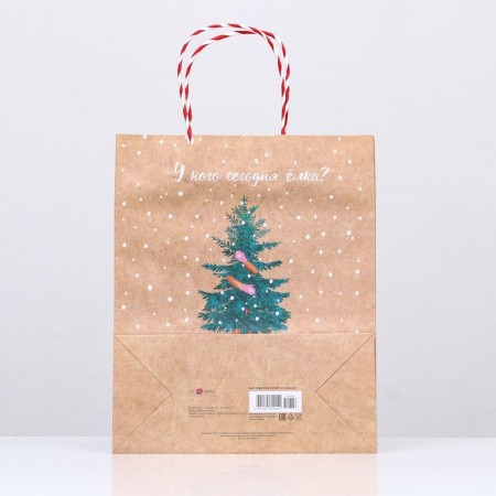Gift package "Who has a Christmas tree today?" 26 x 32 x 12 cm-3