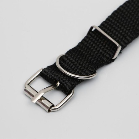 Animal collar-3