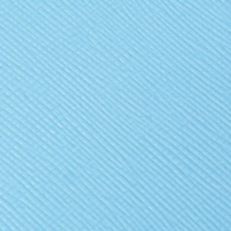 PROVINARY NOT LEARNED, 80 sheets, 100x170 mm, Devente.Jane, soft cover of PVC, elastic band, perforation, liesse, block 70%, blue-2