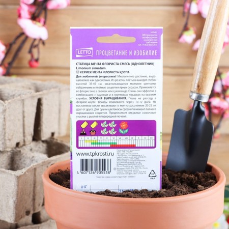 Flower seeds Statitsa Florist's dream, mixture, o, 0.1 g-1