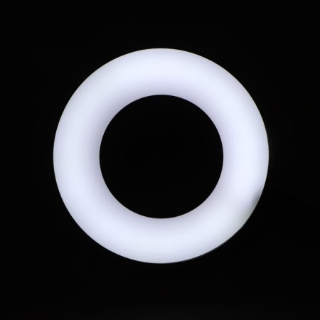 Ritmix RRL-091, 9CM, USB, 3 colors, 24 LEDs, clothespin, remote control, holder-8