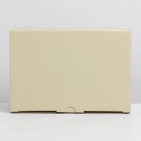 Gift folding box, packaging, "beige", 22 x 15 x 10 cm-5