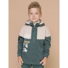 Pelican's sweatshirt for a boy, height 98 cm, green color
