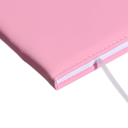 Universal diary 1-11 grade mouse, firm cover with foam rubber, with a refrain, lies, block 80 g/m2-2