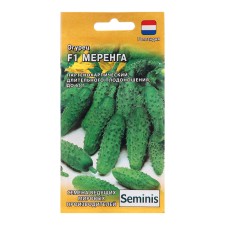 Seeds of cucumber 