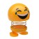 Smile on the spring, on the panel in the car, laughter, yellow