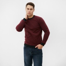 The male sweatshirt was launched, the color of the burgundy, size 48
