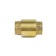 Reverse valve Aquasfera 3002-06, 2 ", PN 25 internal thread, spring, core brass
