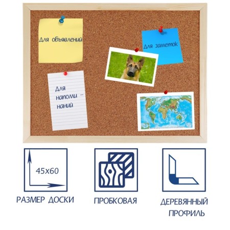 Camping board A2, 45x60 cm, calligrata, in a wooden frame