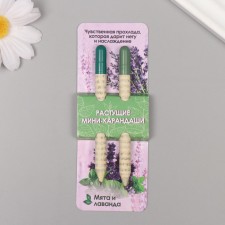 Growing gift pencils mini 