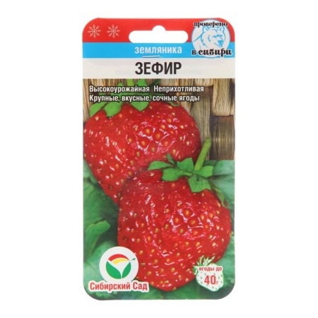 Strawberries "Zephyr", 10 pcs
