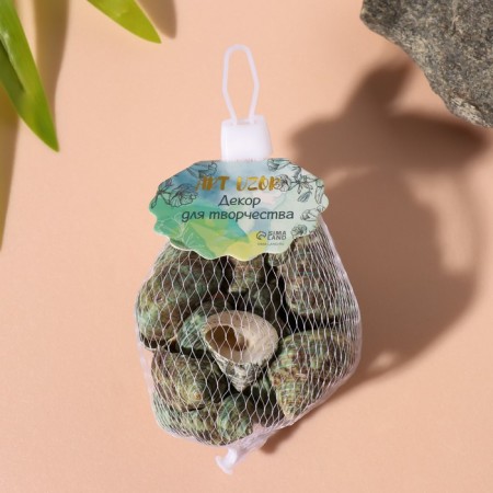 Natural decorative shells "Green shell" set 100 grams-3