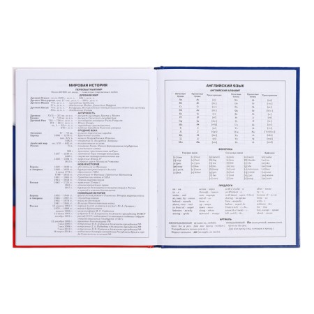 Diary for grades 5-11, 48 sheets of "Russian schoolchild No. 4", hard cover, glossy lamination, block 60 g/m2-12