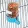 Bird drinker 7.3 x 15 cm, 480 ml, blue