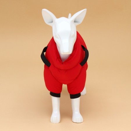 Kombinson for dogs with a slope "Moden", size 12 (DS 28, OG 38, Osh 27 cm), red-3