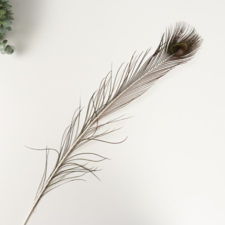 Decorative feather "Peacock" h = 90-100 cm-2