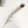 Decorative feather "Peacock" h = 90-100 cm