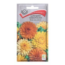 Seeds of calendula flowers are stunted 