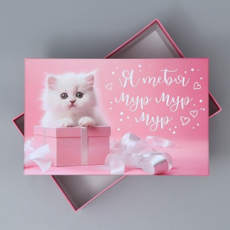 Gift rectangular, packaging, Moore-Mur, 22 x 14 x 8.5 cm-2