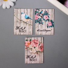 A set of postcards with seeds 