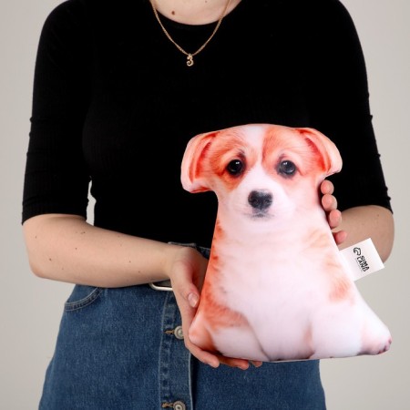 Antistress toy "Corgi"-4