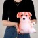 Antistress toy "Corgi"