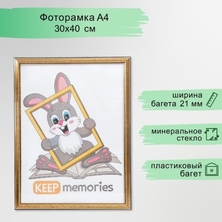Photo frame plastic 30x40 cm gold (296)