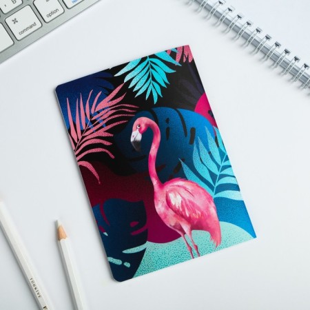 Test Browler + Notepad Flamingo Party-4